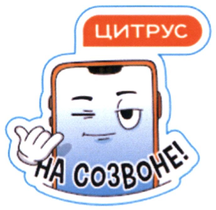 на созвоне!