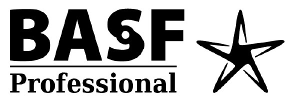 professional