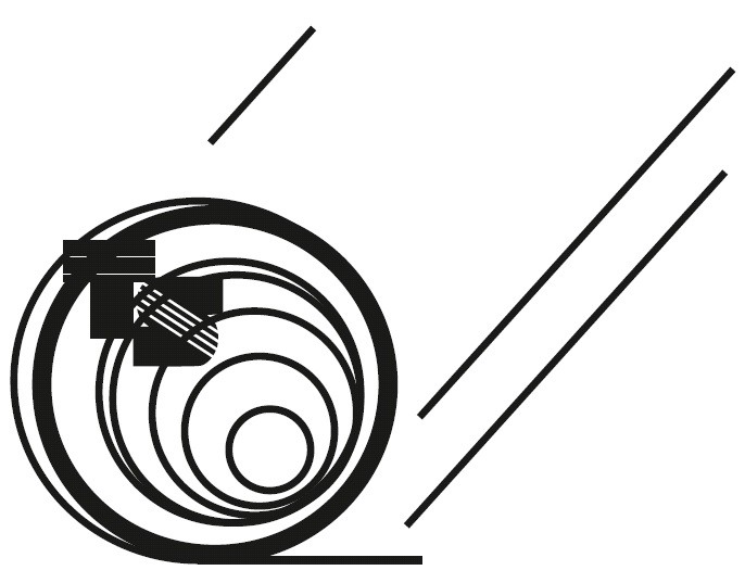 ts