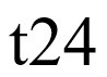 t24