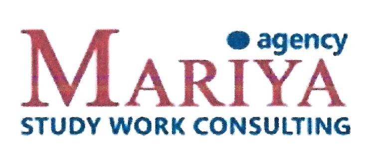 study work consulting