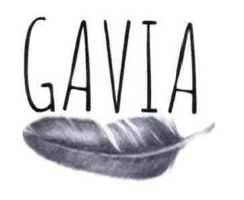 gavia