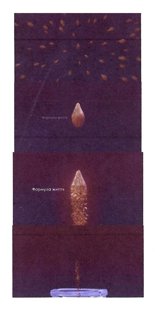 формула життя