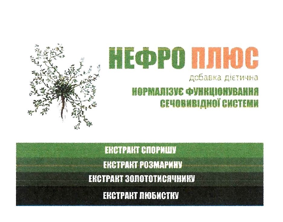 нормалізує функціонування