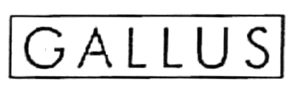 gallus