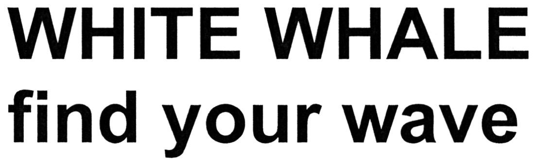 white whale find your wave