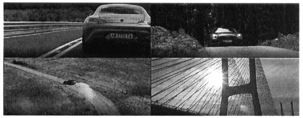 Фігуративна марка № m201924151