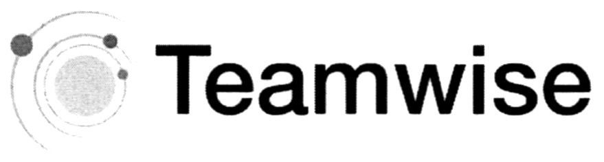 teamwise
