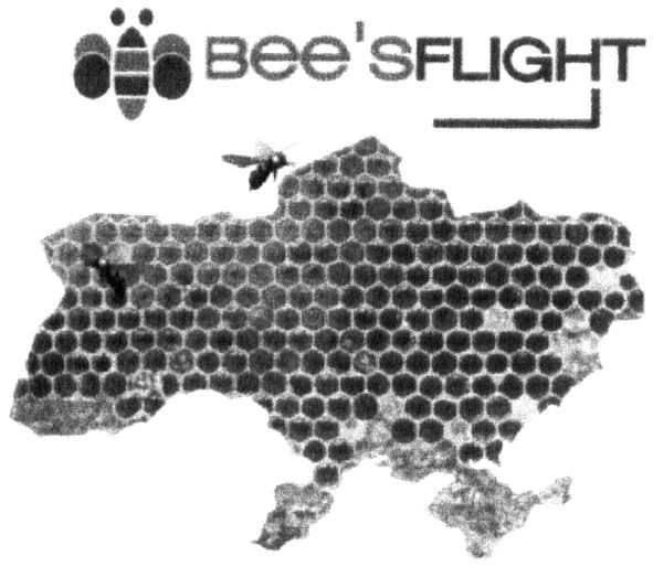 bee`sflight