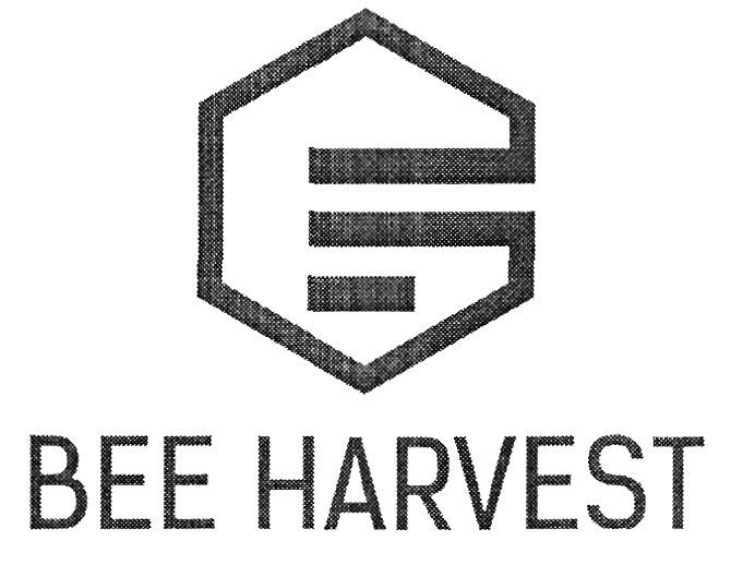 bee harvest