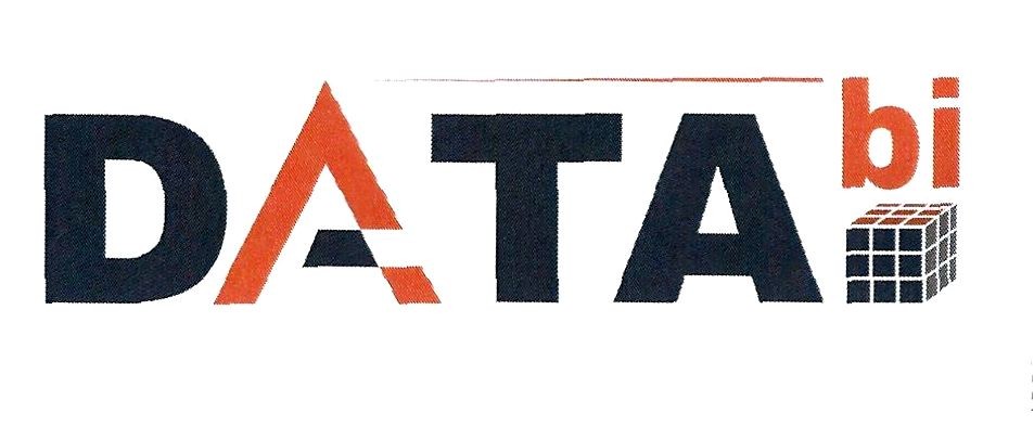 data bi