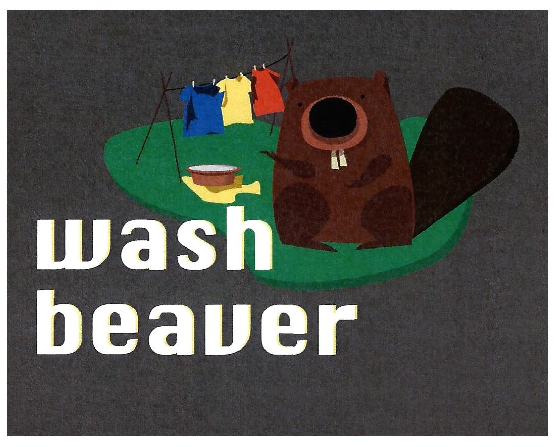 wash beaver