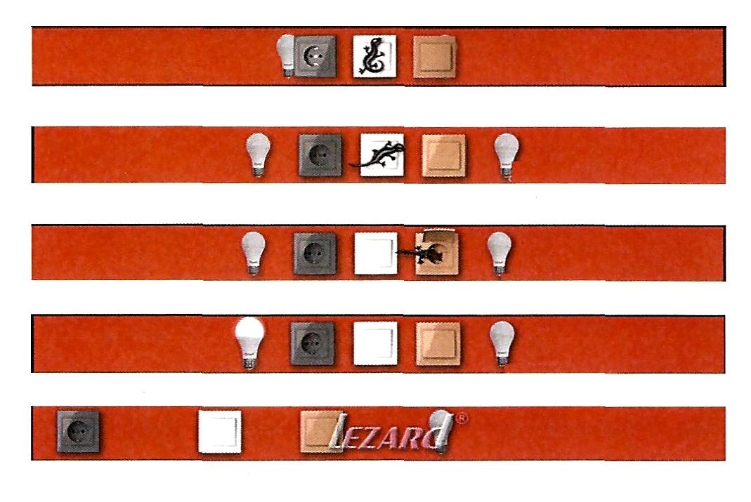 lezard
