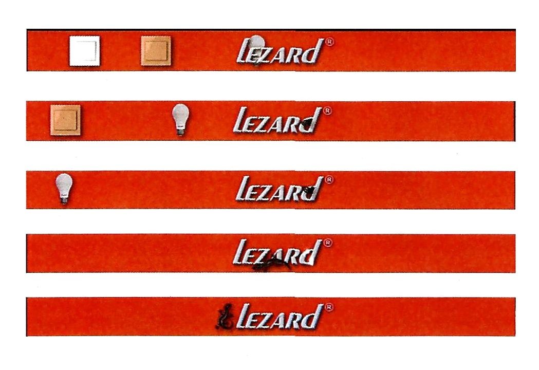 lezard