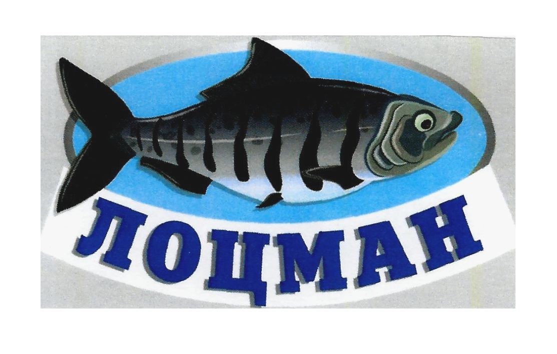 лоцман