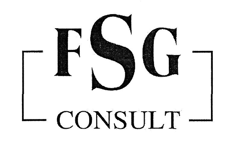 fsg consult