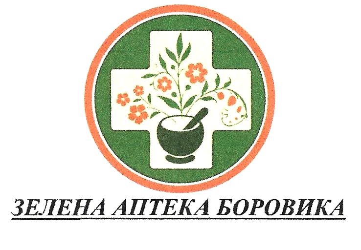 зелена аптека боровика