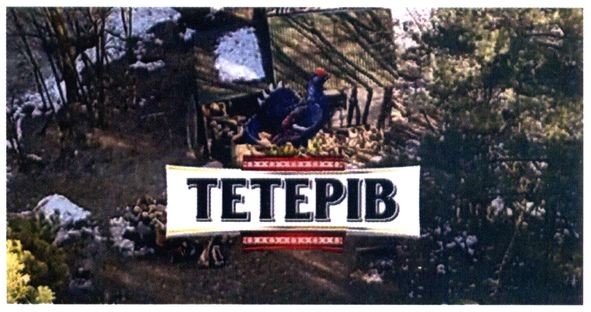 тетерів