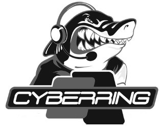 cyberring