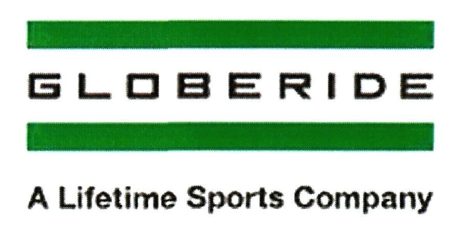 a lifetime sports company