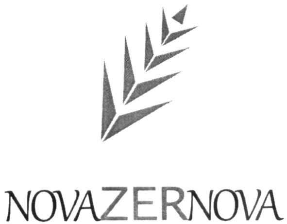 novazernova