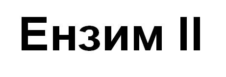 ензим ii