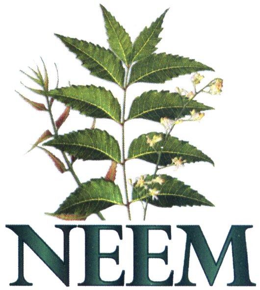 neem
