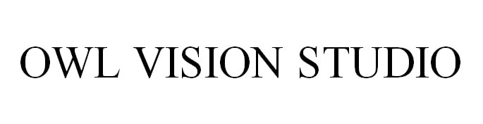 owl vision studio