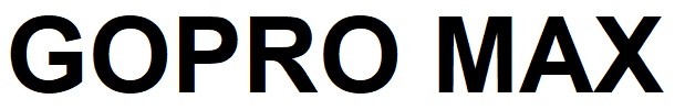 gopro max