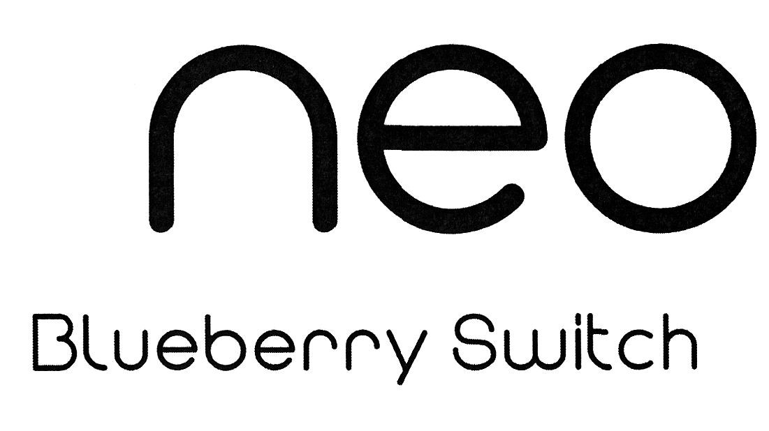 blueberry switch