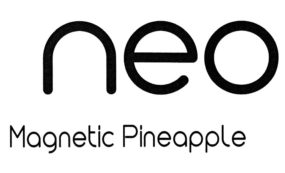 magnetic pineapple