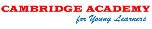 cambridge academy for young learners
