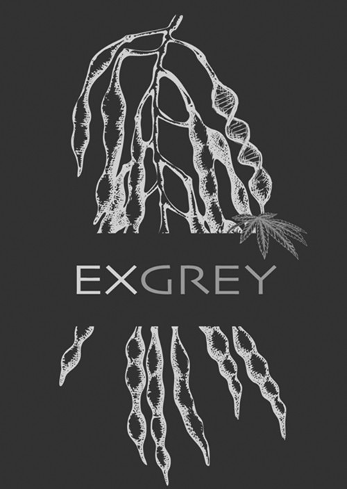 exgrey