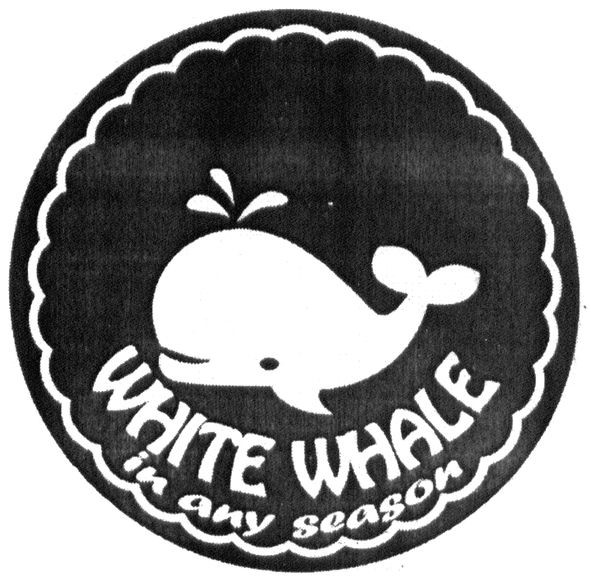 white whale in any season