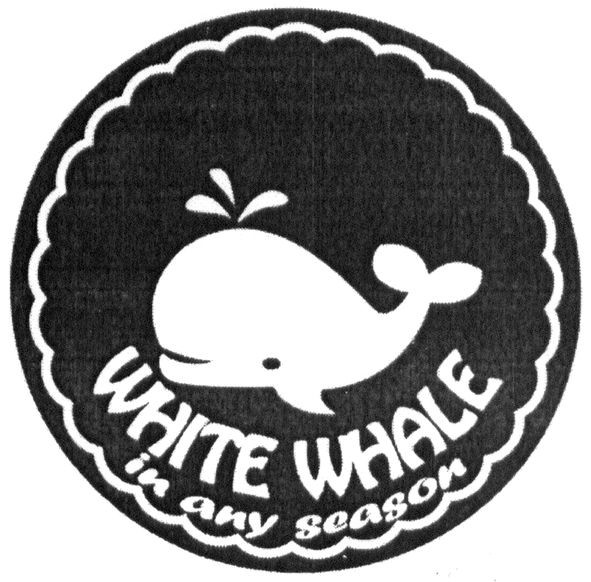 white whale in any season
