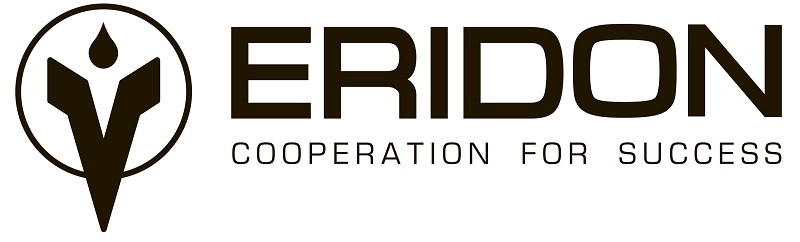 cooperation for success
