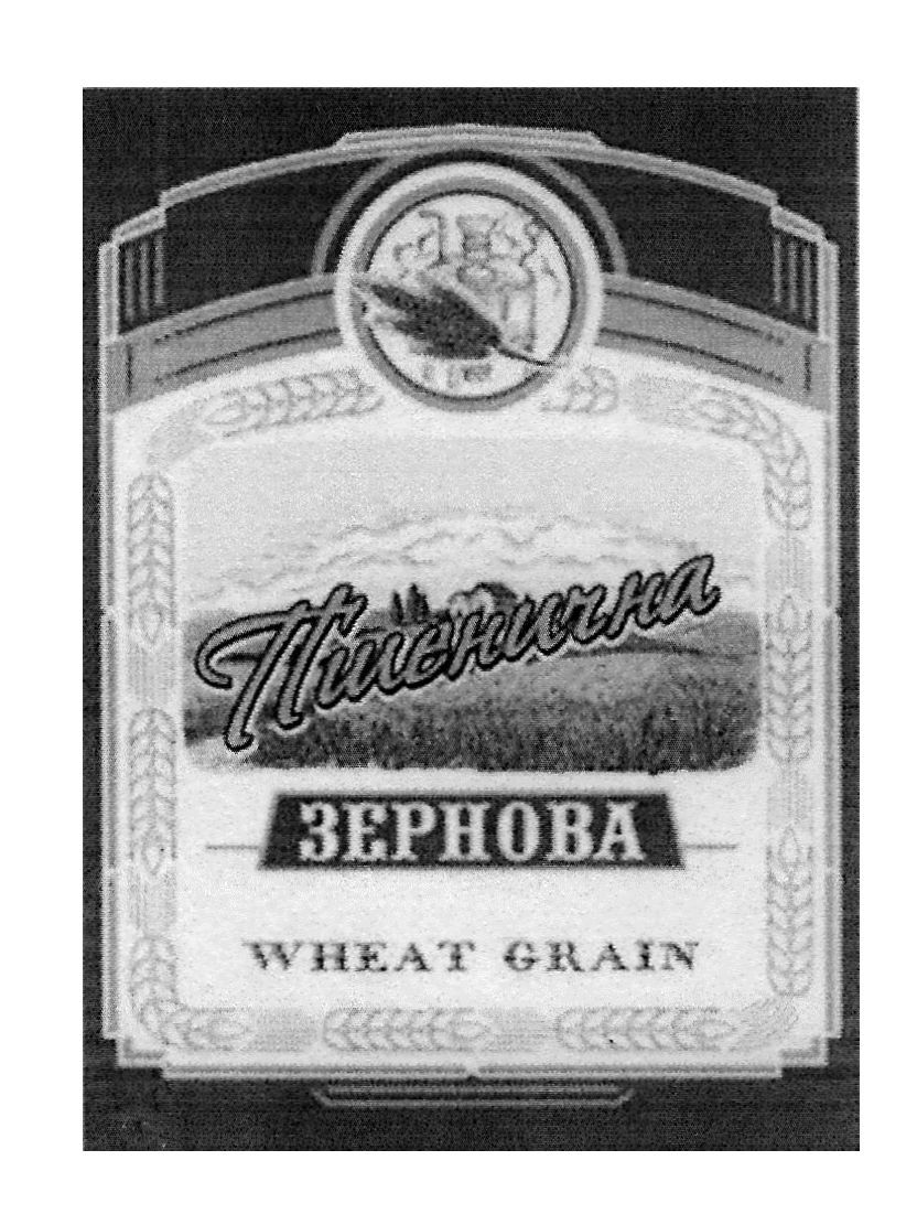 пшенична зернова