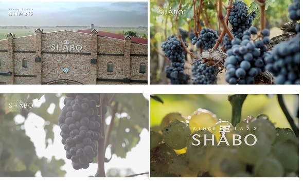since 1822 shabo