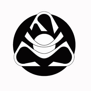 fvm