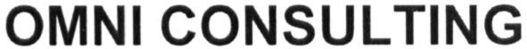 omni consulting