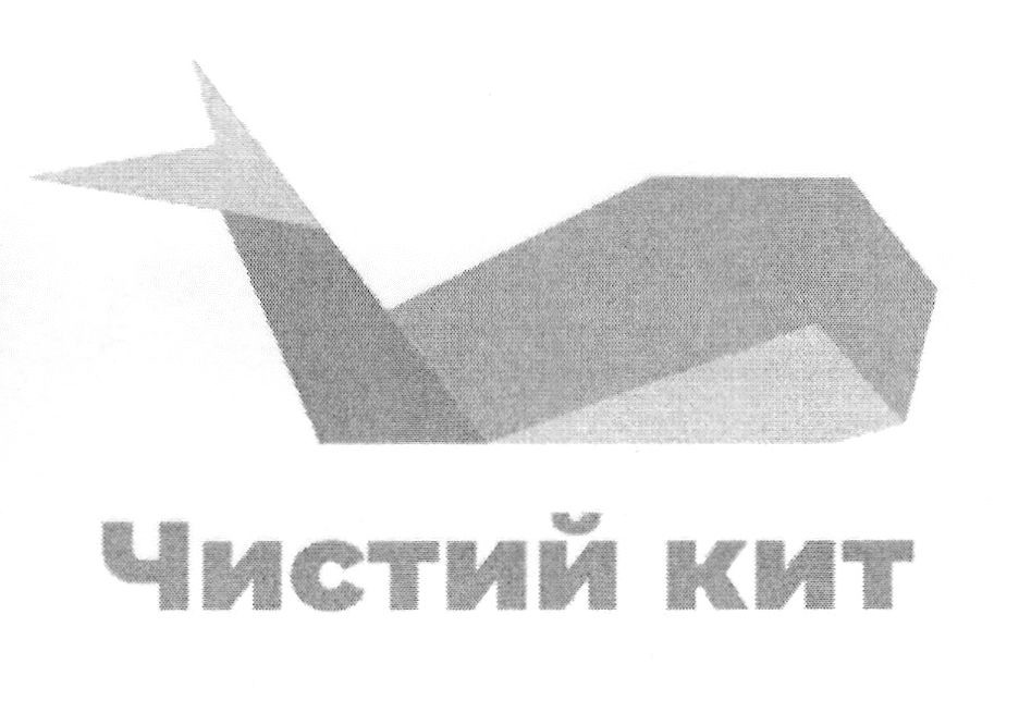 чистий кит