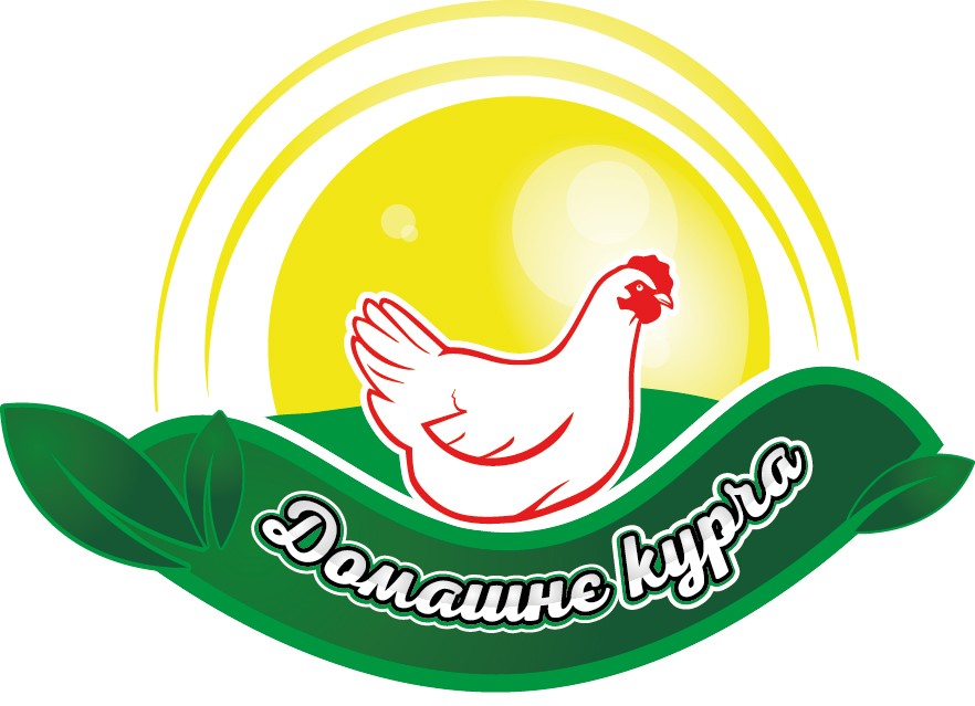 домашнє курча