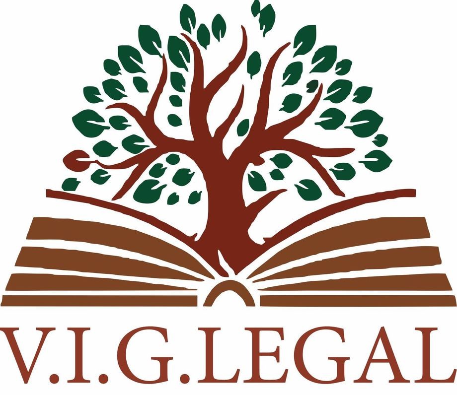 v.i.g.legal