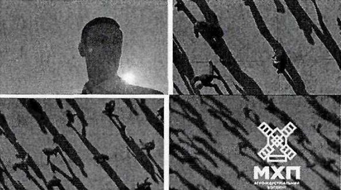 агроіндустріальний холдинг