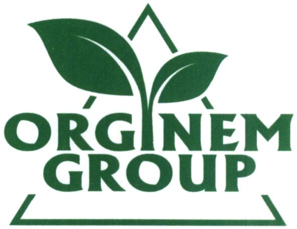 orginem group