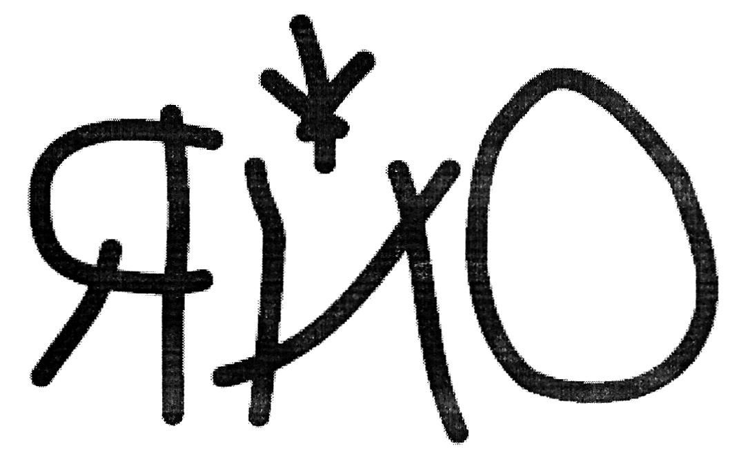 яйо