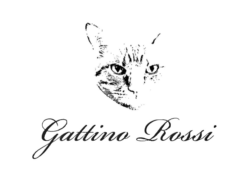 gattino rossi