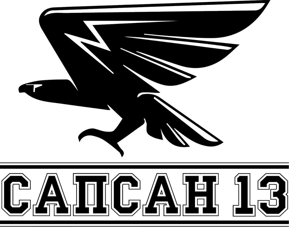 сапсан 13