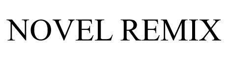 novel remix