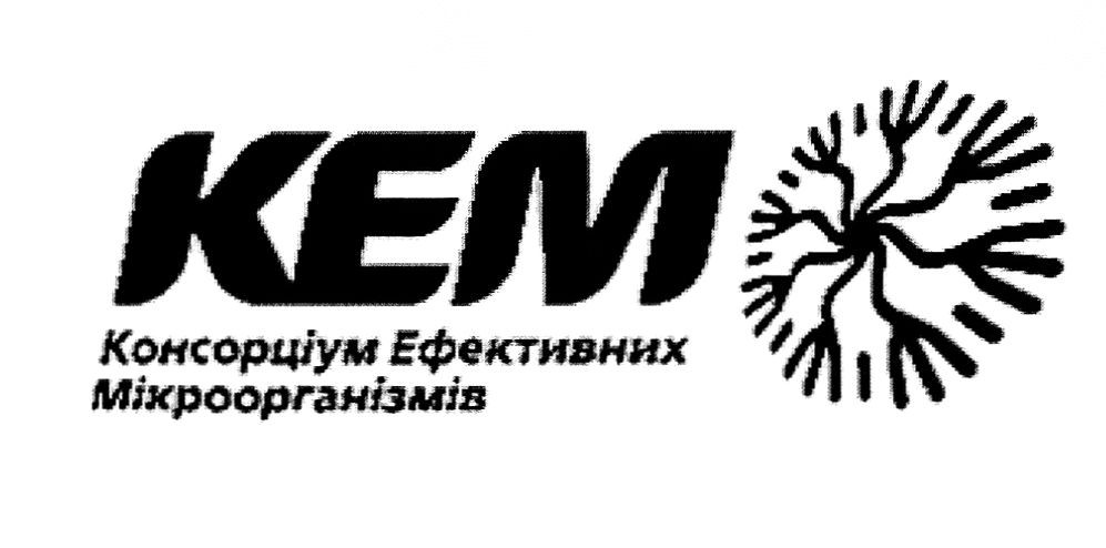консорціум ефективних мікроорганізмів